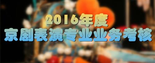 艹黑逼网站国家京剧院2016年度京剧表演专业业务考...